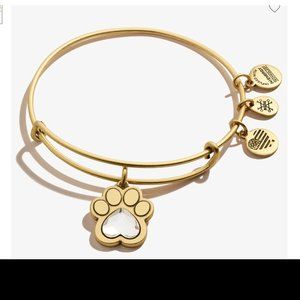 Crystal Paw Prints of Love Charm Bangle